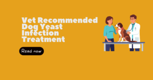 dog yeast infection treatment