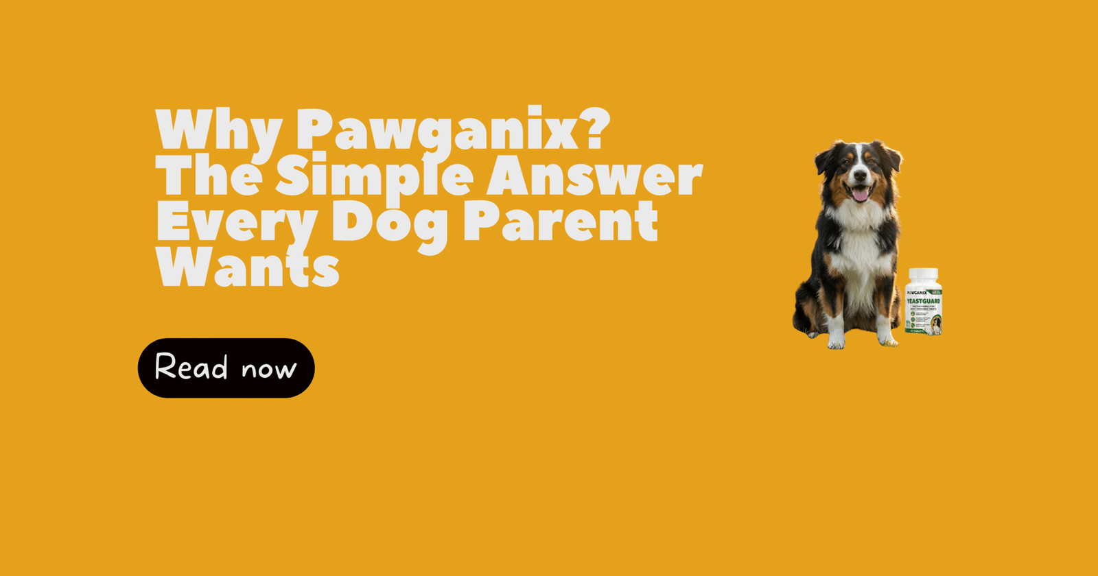 Why Pawganix YeastGuard? The Simple Answer Every Dog Parent Wants